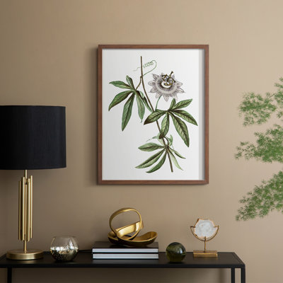 Tropical Botanical I Framed Print - Solid Wood