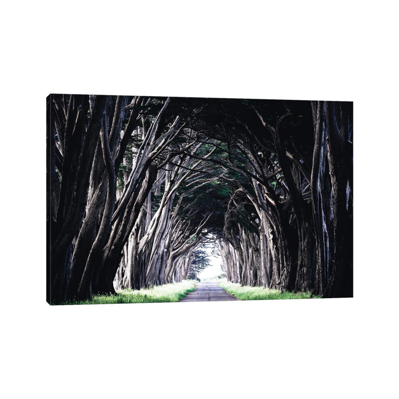 Light At The End by Heather Roberson - Wrapped Canvas Print, 20.32 cm H x 30.48 cm W