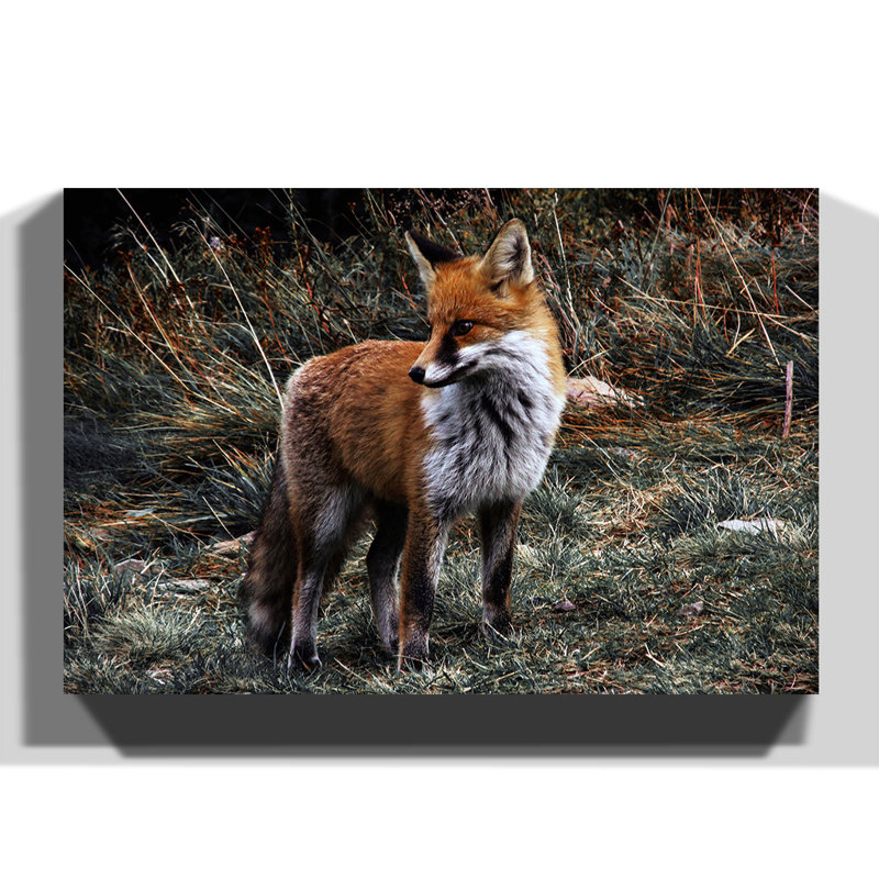 Wrapped Canvas Print, 40cm H x 60cm W