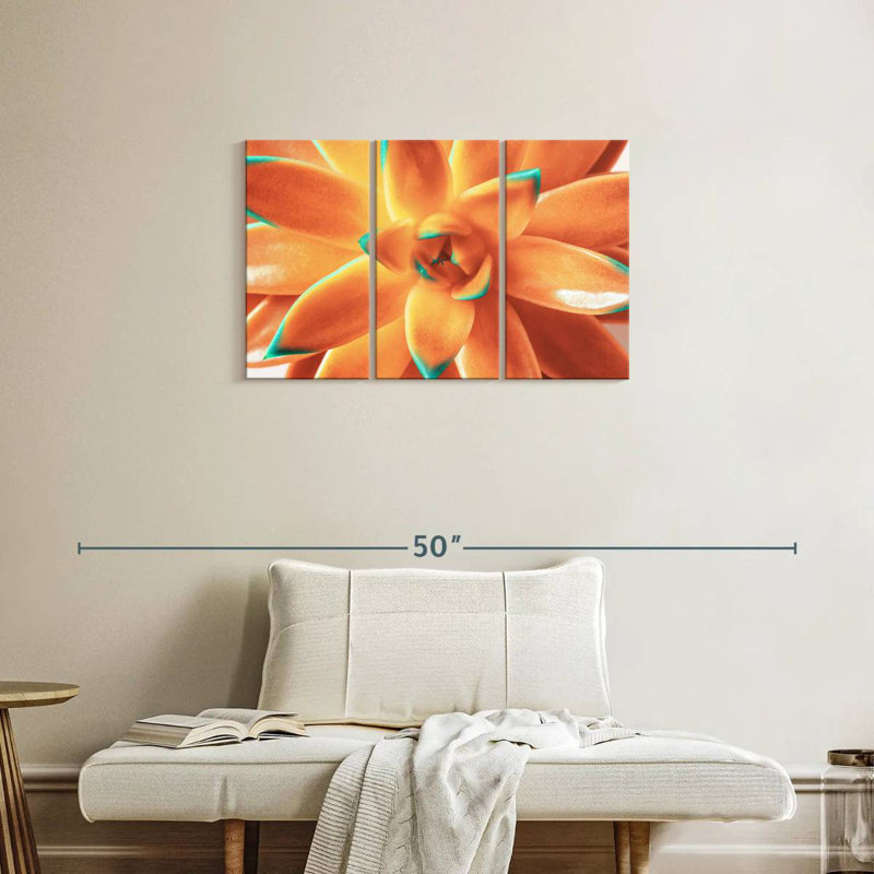 Plante grasse orange Harnek, H 20 po x l 33 po