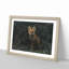 Portrait of a Fox - Framed Print-56758610-56758607