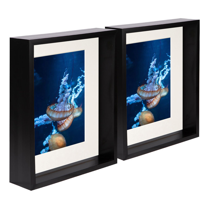Shadow Box Picture Frame - Set of 2 with Mat, Black