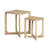 2 Piece Nesting Table Set