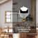 25 Watt G16.5 E12/Candelabra Dimmable 2700K Incandescent Bulb