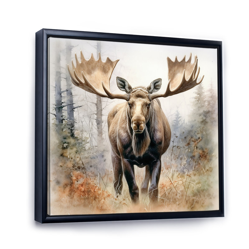 Moose Serenity II - Moose, art mural encadré, 36" H x 36" W, Cadre flottant noir