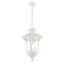 Luminaire suspendu d'extérieur Arelene-1106479155-1127152988