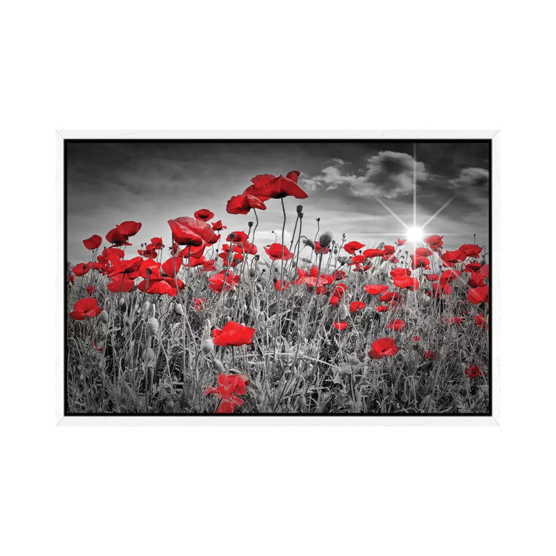 Idyllic Field Of Poppies With Sun by Melanie Viola - Print on Canvas, 66.04 cm H x 45.72 cm W, White Framed Canvas