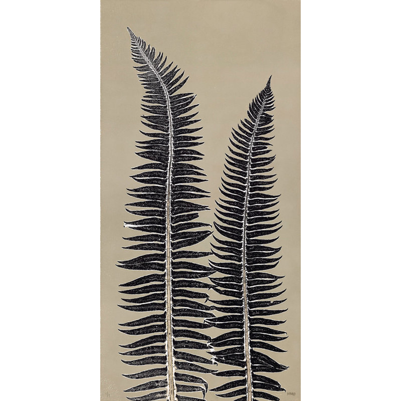 Cocoa Ferns Framed Drawing Print Canvas