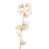 Pale Pink