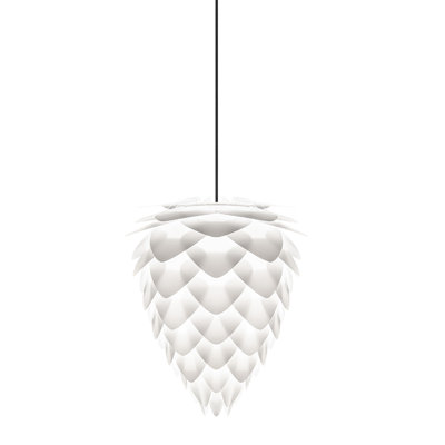1 - Light Unique/Statement Pendant