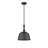 Hempstead 1-Light Dimmable Dome Pendant-1953057661