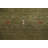 Green Tribal Gabbeh Indian Area Rug