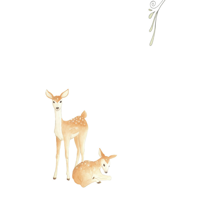 Bébés animaux VI, H 12 po x l 8 po