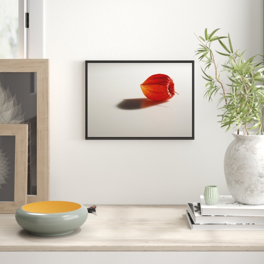 Gerahmtes Wandbild kleine Physalis