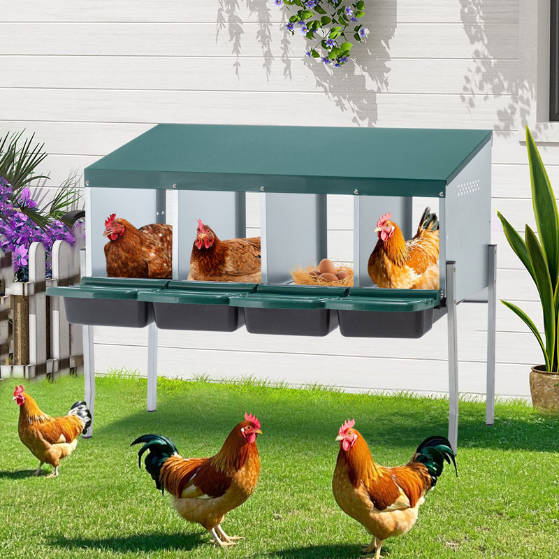 Nid de poule à 4 trous, avec pattes et couvercle pour protéger les œufs