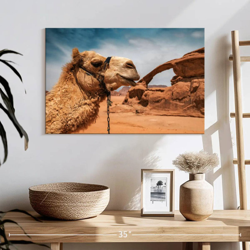 Chameau Brampt dans le désert du Wadi Rum, H 16 po x l 24 po