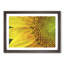 Petals of the Yellow Sunflower - Picture Frame Painting Print-56633649-56633644