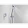 DTV Mode™ Dual-Outlet Shower Interface with Eco-Mode Diverter