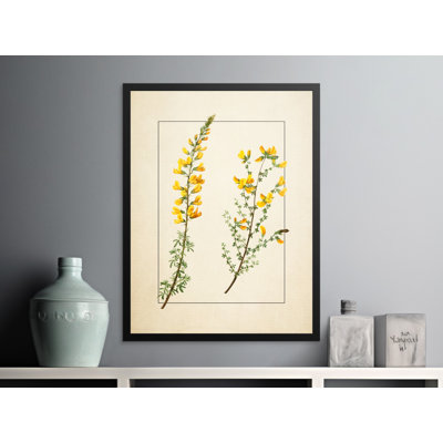 No Frame Print