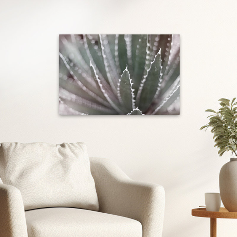 Cacti Cactus Leaf - Dream Desert II BWC, 16" H x 24" W