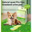 Tapis pour chien (ensemble de 20)