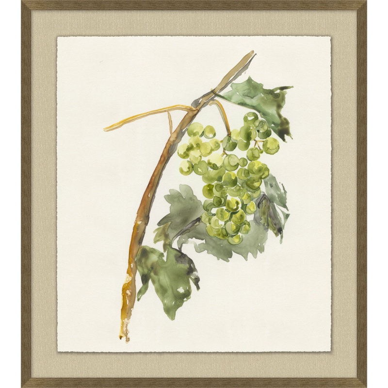 Vineyard Grapes Impression 4 Print by Nathan Turner