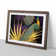 Captivating Peacock - Single Picture Frame Print