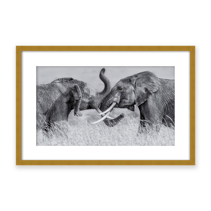 Nature Inspired Elephant Tai Chi by  - Picture Frame Photograph on Paper, Framed Canvas, 16" H x 24" W x 2.375" D, White
