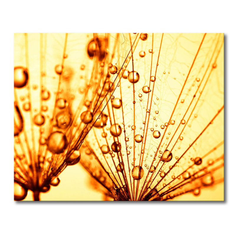 Wrapped Canvas Print, 80cm H x 100cm W x 2cm D