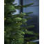 121.92cm H Lighted Artificial Fir Christmas Tree