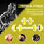 Barbell Set