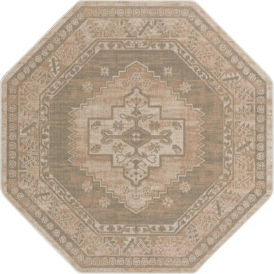 Matthei Oriental Indoor Rug