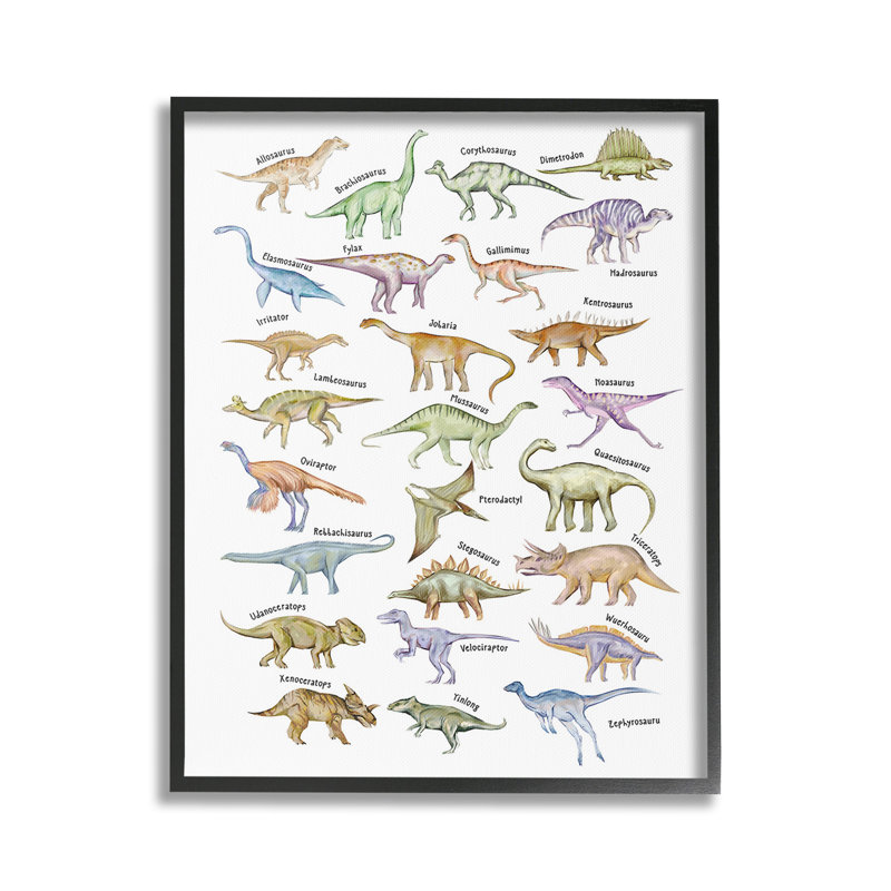 Éducatifs, dinosaures antiques, estampe numérique encadrée par Ziwei Li, Giclée encadrée noir minuit, H 30 po x l 24 po