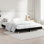 Brotherhood Bed