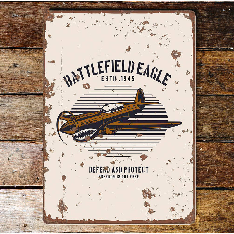 Battlefield Eagle Plane Metal Wall Décor, 80cm H x 60cm W