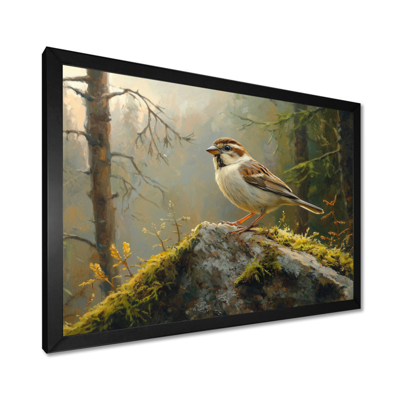 Sparrow Bird On A Forest Rock II - bird Wall Art for Living Room, Single Picture Framed, Black, 12" H x 20" W