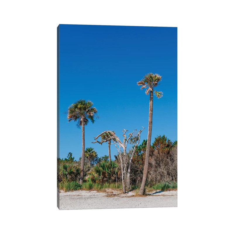 Sullivan's Island XII by Bethany Young - Print on Canvas, 66.04cm H x 45.72cm W x 3.81cm D, Wrapped Canvas