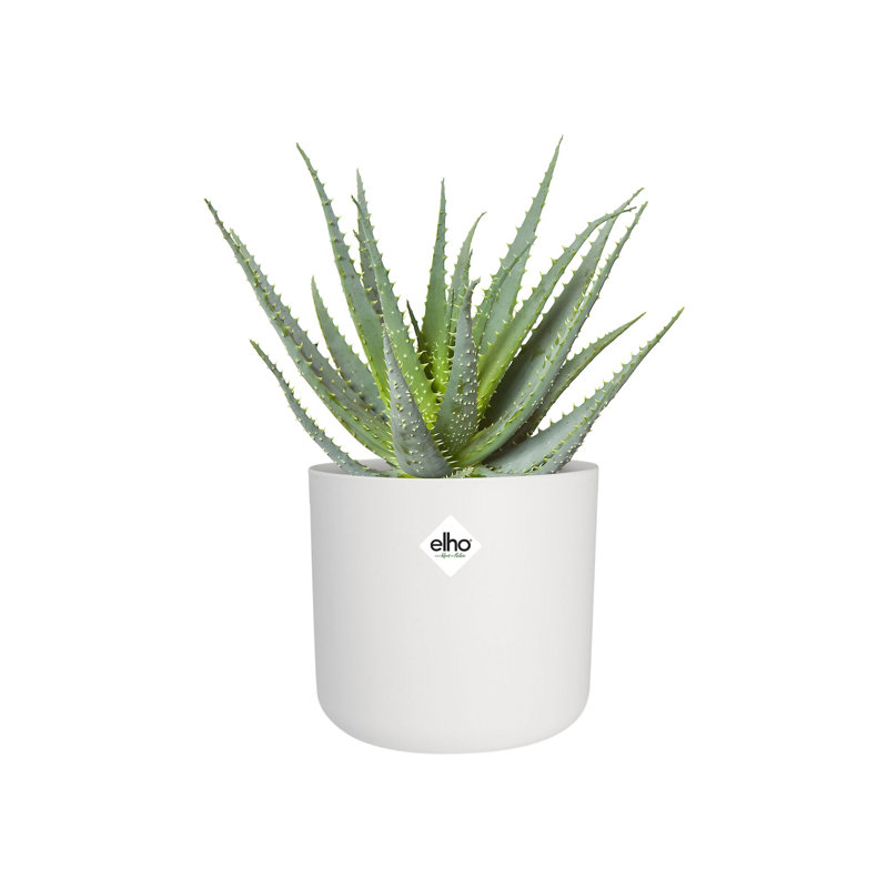 B.For Pot Planter, 23.3cm H x 24.9cm W x 24.7cm D, White