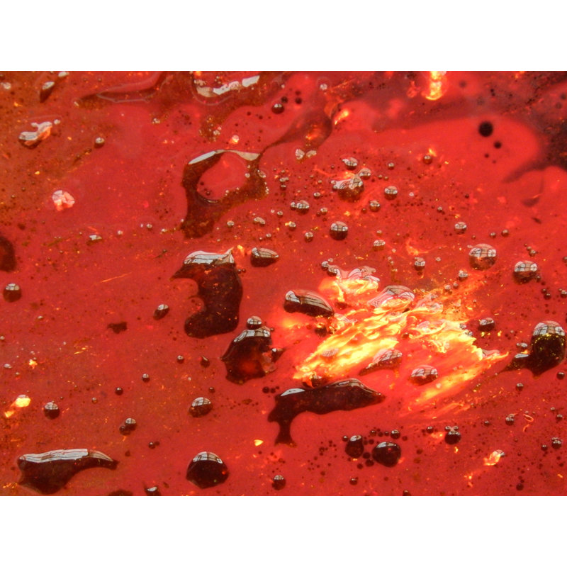 In You Print by Kevin Quinn, 25.25" H x 31.25" W
