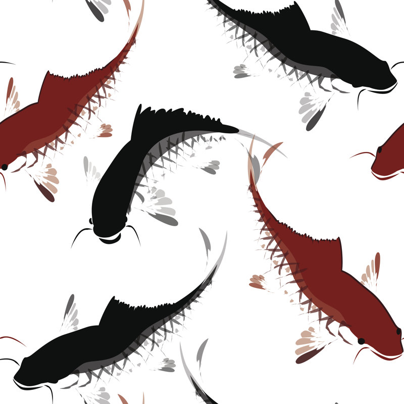 Red Carp Backgroud - Wrapped Canvas Print, 122cm H x 122cm W x 3.8cm D