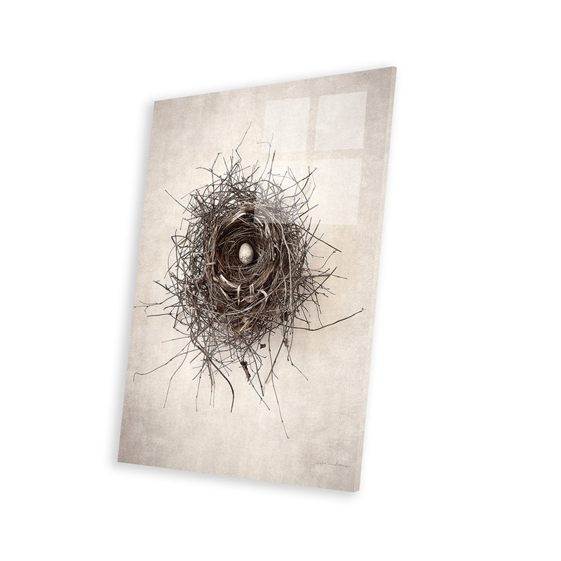 «Nest I» par Debra Van Swearingen - peinture sans cadre