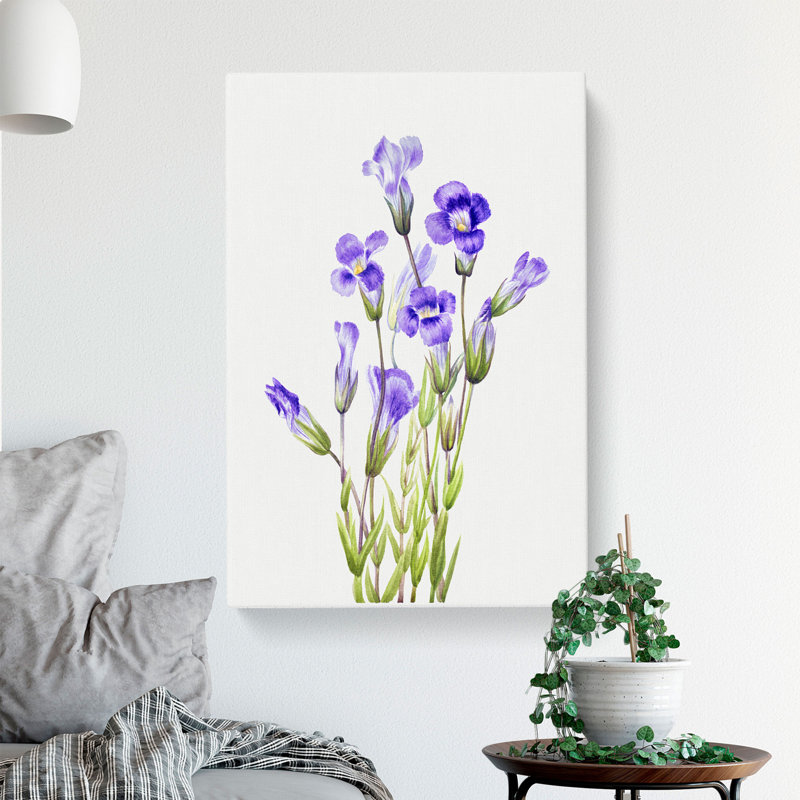 Fringed Gentian Vol.2 by Mary Vaux Walcott - Wrapped Canvas, 76cm H x 50cm W x 3cm D