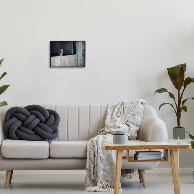 Chouette perchée, grange campagnarde, faune par James Dobson - photographie sur toile flottante, H 11 po x l 14 po x P 1,5 po