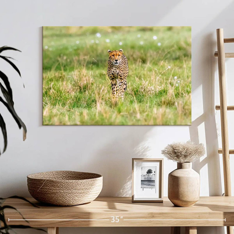 Agile Cheetah