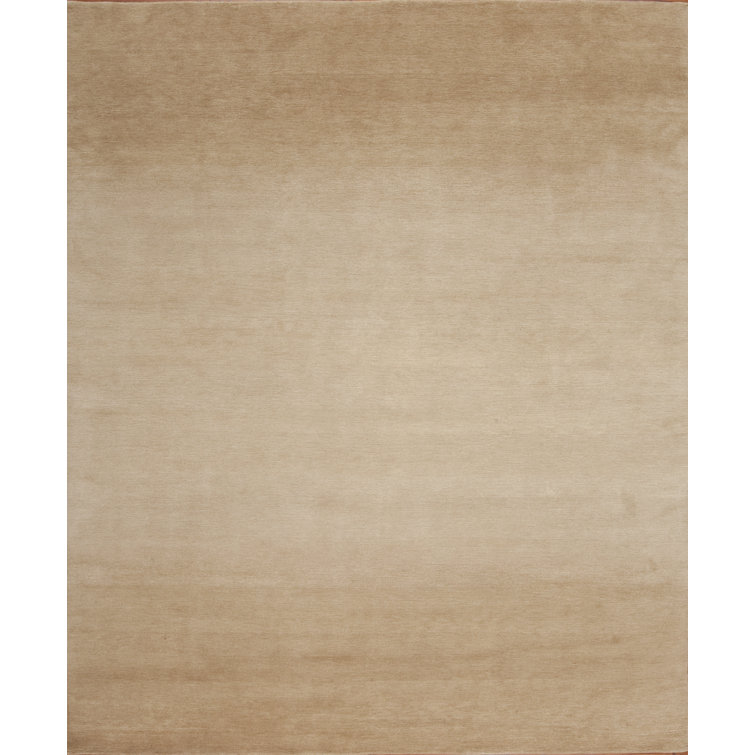 Modern Tibet Hand Knotted Area Rug