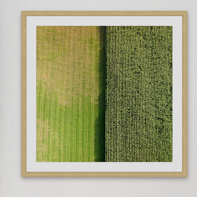 Single Picture Frame Print, 41 cm H x 41 cm W x 3.81 cm D