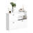 Modern Minimalist Design Storage Shoe Cabinet-1886936804