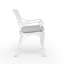 Candi Outdoor Patio Dining Armchair with Cushion-2077948800