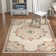 Merriwood Oriental Indoor Rug