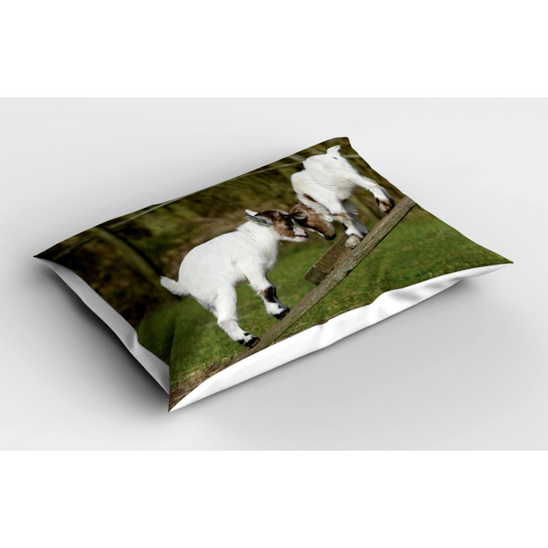 Polyester Sham Set, Twin